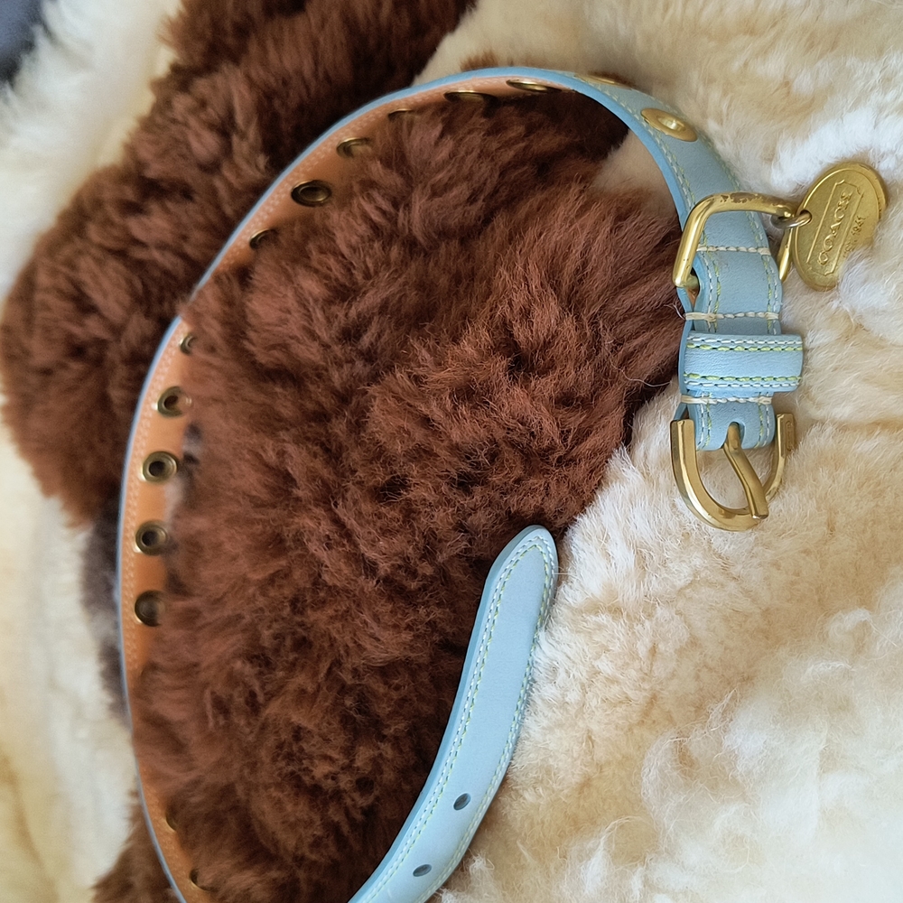 Coach Dog collar